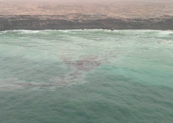 هيئة البيئة تُصدر بيانًا حول متابعة تداعيات حادثة السفينة الجانحة قبالة جزر الحلانيات