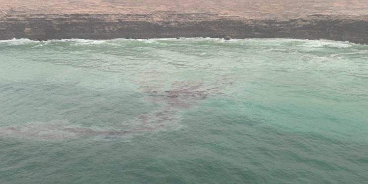 هيئة البيئة تُصدر بيانًا حول متابعة تداعيات حادثة السفينة الجانحة قبالة جزر الحلانيات