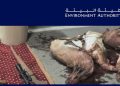 ضبط 3 مواطنين في قضية صيد غزلان عربية